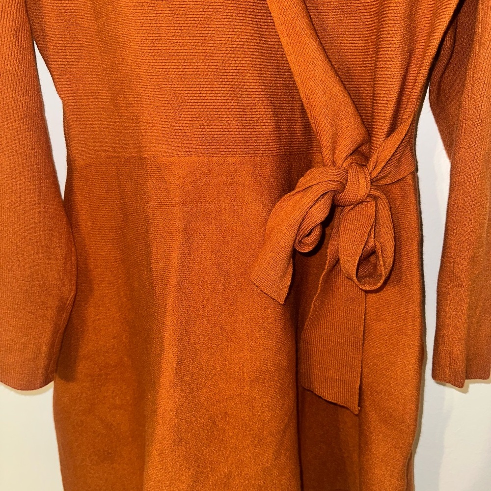 Rust Wrap Dress - Picture 3 of 7